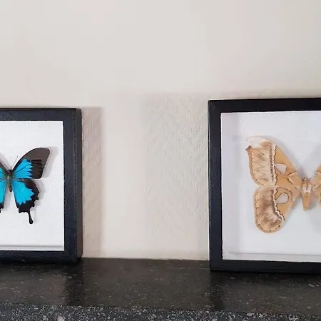 Cozy House Near Magical Christmas Market